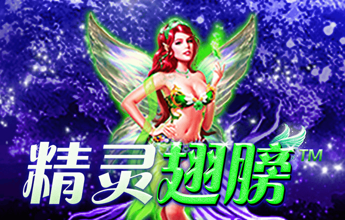 多宝体育app平台下载官网